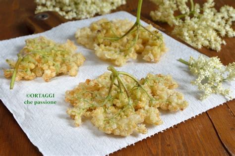 Fiori di sambuco raccolti in un prato