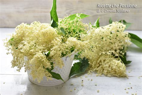 Fiori di sambuco dorati che vengono scolati dall'olio