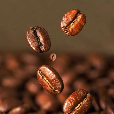 Noci e chicchi di caffè