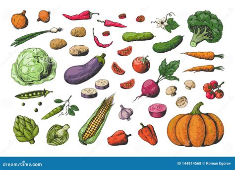 Un assortimento di verdure colorate: zucca, patate, spinaci, broccoli