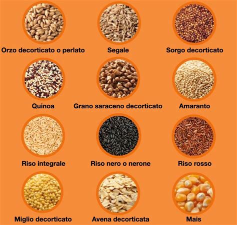 Confronto tra chicchi di cereali integrali e raffinati