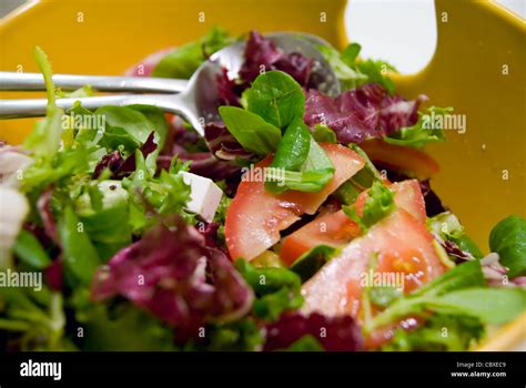 immagine di un'insalata fresca con pezzi di formaggio fresco