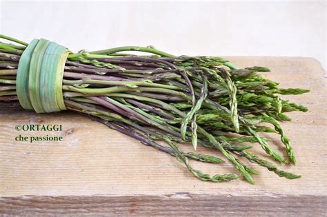 Asparagi selvatici in un bosco