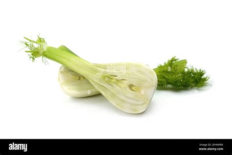 Immagine di un finocchio fresco con le sue foglie verdi e il bulbo bianco