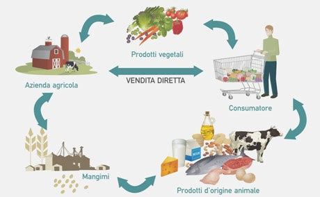 Schema di una filiera produttiva alimentare