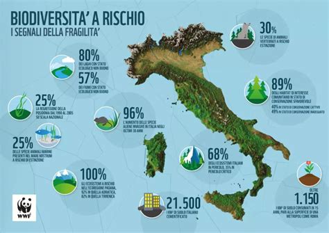 grafico che mostra la perdita di biodiversità vegetale dal 1900