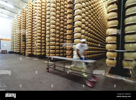 Ruota di Parmigiano Reggiano