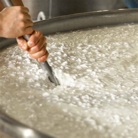 Taglio della cagliata di mozzarella