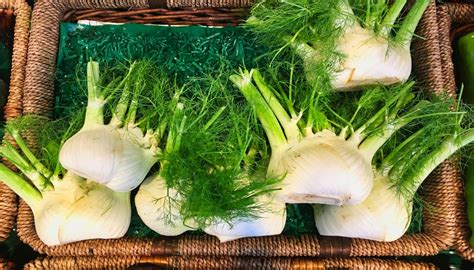 finocchi freschi con foglie verdi