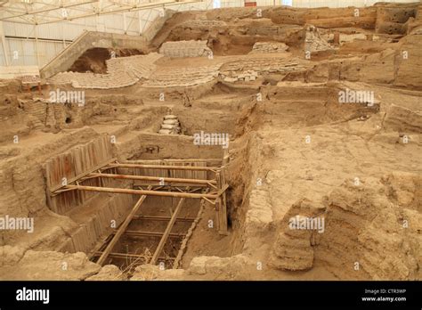 Il sito di scavo nella stagione 8