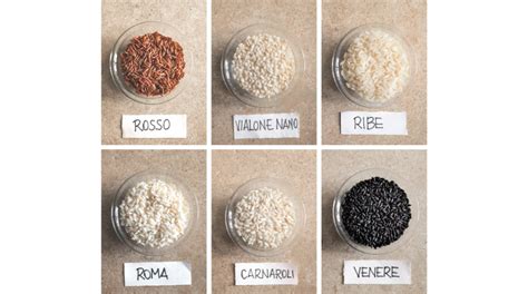 Varietà di riso nero italiano a confronto