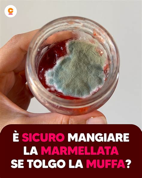 Muffa su marmellata in vasetto