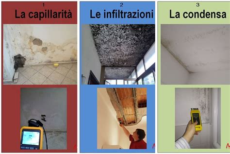 Diagramma delle condizioni di crescita della muffa