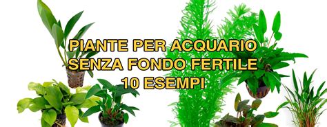 Esempio di substrato fertile per acquario con piante