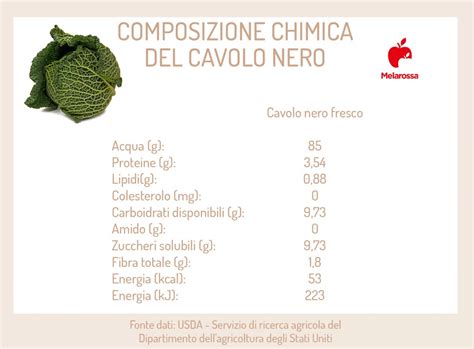 Infografica con valori nutrizionali del cavolo rapa