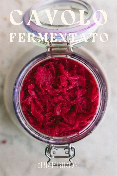 Barattoli di cavolo rosso fermentato in un ambiente fresco