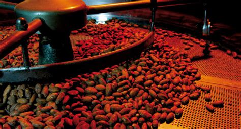 Macchinario industriale per la macinazione delle fave di cacao