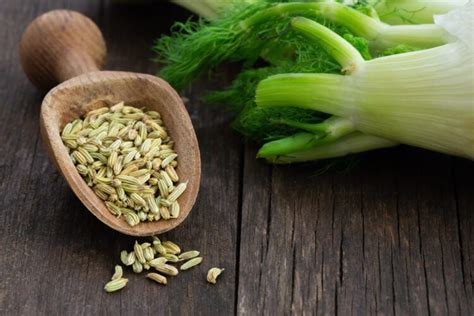 Frutti di finocchio (semi)