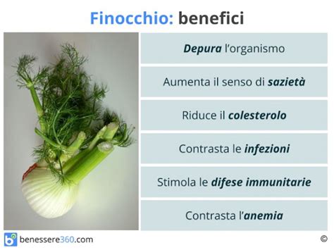 Schema dei benefici del finocchio