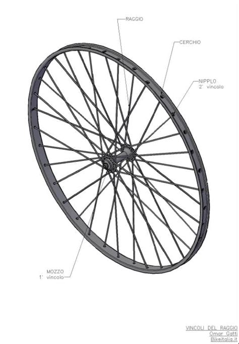 Schema di una ruota di bicicletta con un inserto mousse