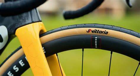 Varietà di mousse per pneumatici da ciclismo