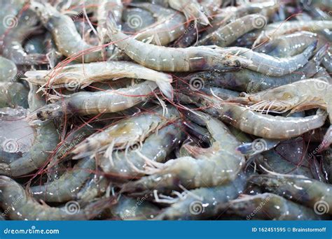 Gamberi freschi in un mercato
