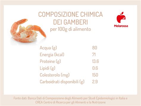 Infografica sui benefici nutrizionali dei gamberi