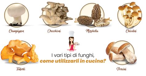 Varietà di funghi selvatici