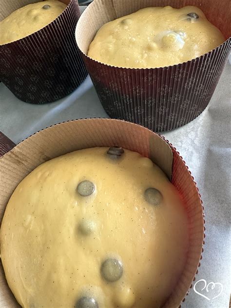 Immagine di impasto di panettone che lievita in un pirottino