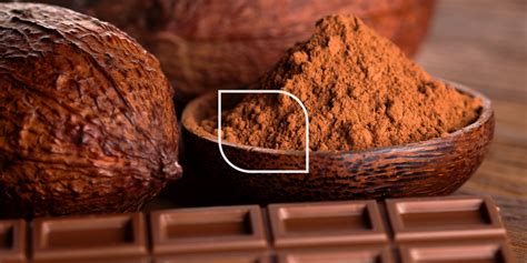 Confronto tra cacao alcalinizzato e non alcalinizzato
