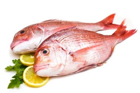 Pesce pagello fresco