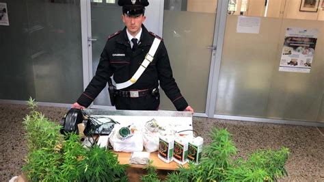 Manette e busta di marijuana