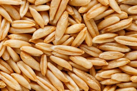 Avena in chicchi cruda
