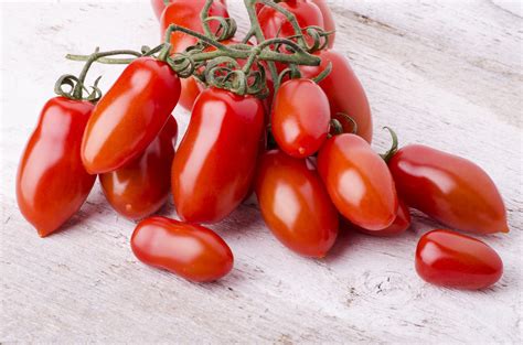 Pomodori freschi San Marzano