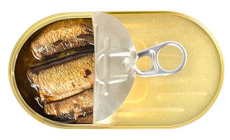 Confronto visivo tra una sarda fresca e una scatoletta di sardine sott'olio