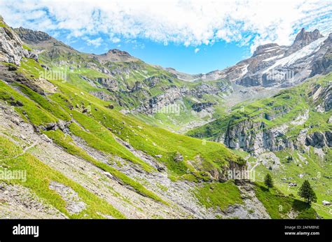 Paesaggio alpino della Carnia con montagne verdi e un torrente