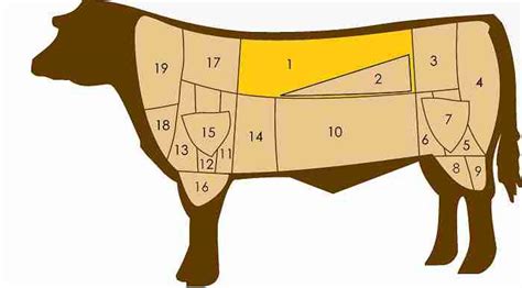 Mappa anatomica del bovino che evidenzia la zona della lombata da cui si ricava il roast beef