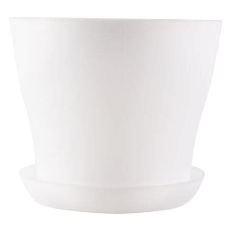 Vaso di limone con sottovaso per mostrare il drenaggio