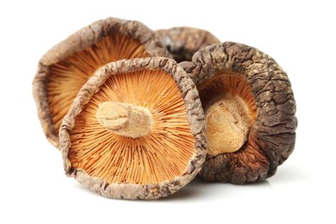 Immagine di funghi shiitake freschi e secchi.
