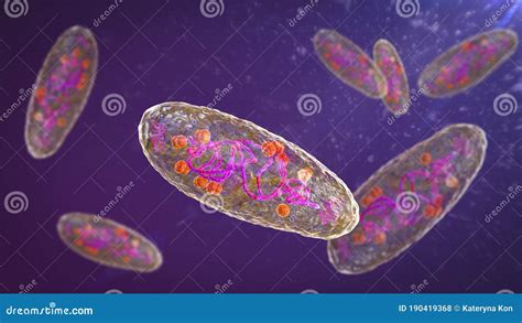 Illustrazione scientifica del batterio Yersinia pestis