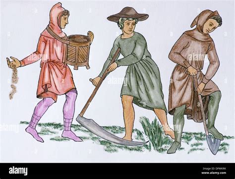 Illustrazione di lavoratori agricoli nel Medioevo