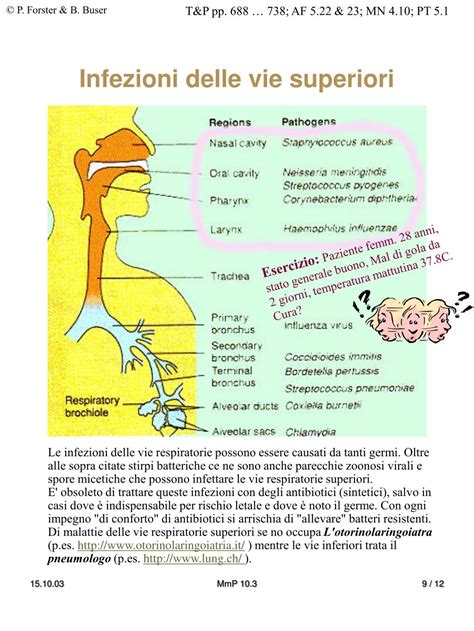 Diagramma delle vie respiratorie e dei sintomi allergici