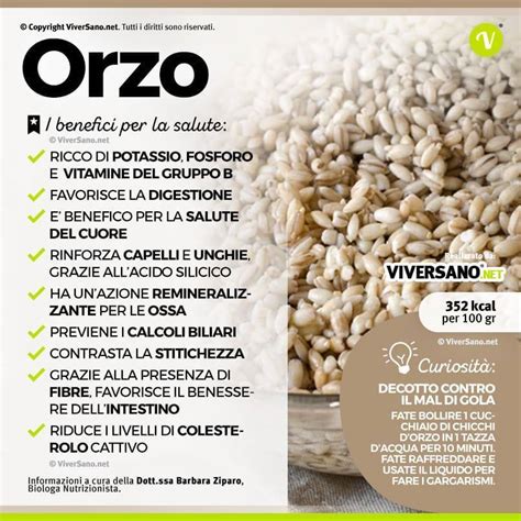 Infografica sui benefici dell'orzo