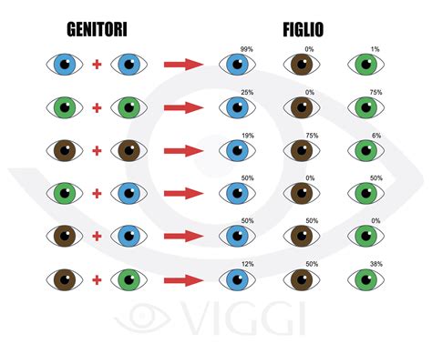 Diagramma genetico del colore degli occhi