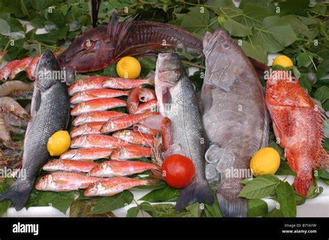 Illustrazione di vari tipi di pesce sano e frutta secca