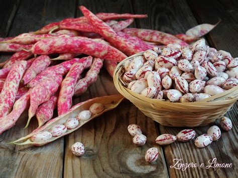 fagioli borlotti freschi in un cesto