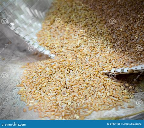 Primo piano di chicchi di grano cotti in un tegame