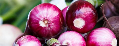 Cipolle di Tropea fresche