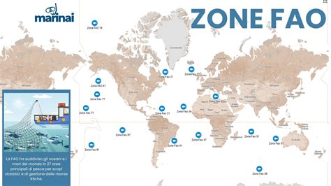 Mappa che illustra le principali aree di allevamento e pesca del salmone nel mondo