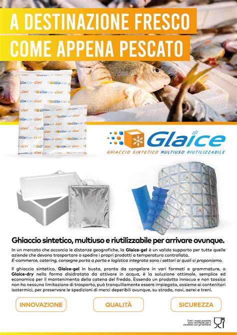 Scatola di spedizione con ghiaccio sintetico per alimenti freschi